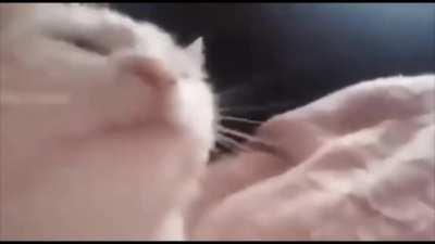 Me during the Awakening mission