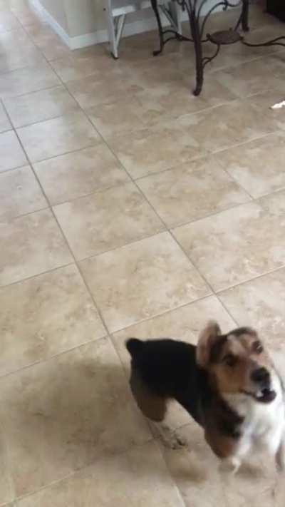 I’ll save you from the ballon mom... oh no it’s coming for me