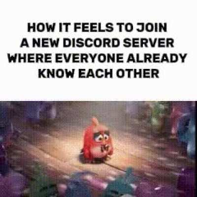 Seriously though how do you guys even make friends on servers?