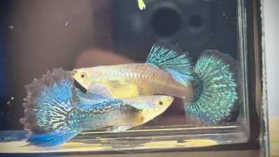 Georgia With Love 💕 m