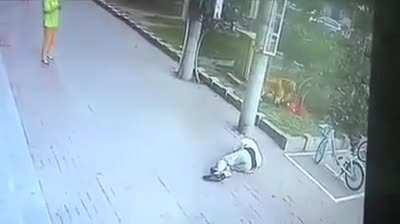 Kamikaze Cat hit the target!