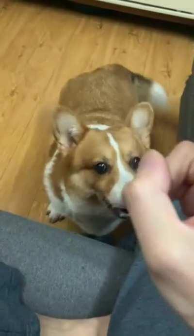 I fucking killed Otis!