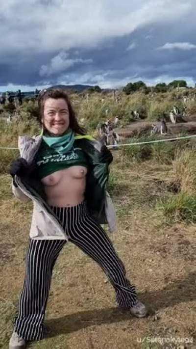 Went and Flashed some Penguins, and there were people too