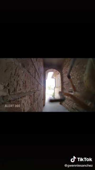 Customer asks if Amazon delivery man can kill spider for her in delivery instructions.