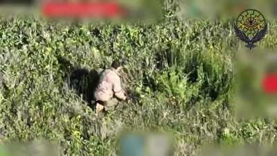 Russian soldier picked up a Ukrainian FPV drone that failed to explode at first. When he threw the drone he regretted his actions. Observed by Ukrainian 110th Mechanized Brigade's UAV Battalion. Zaporizhzhia direction. May 5, 2025