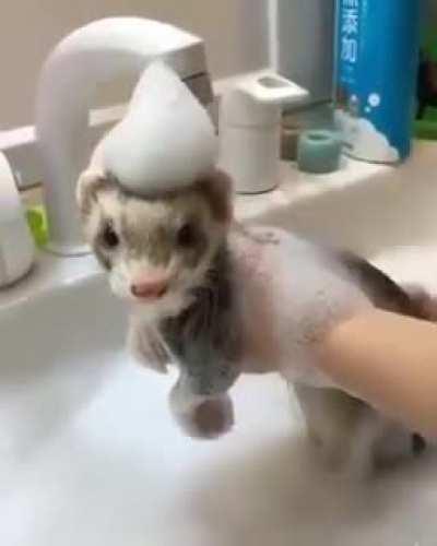 Every week she does this to me