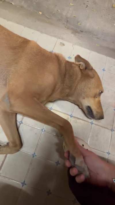 Khaneka, soneka, aaram leneka