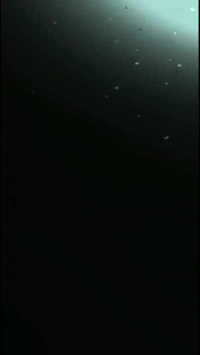 THE LAST OF US PART II Loading Screen Wallpaper