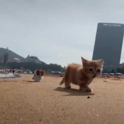 OH LAWD, THEY COMIN-