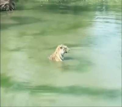 Where’s my profit!