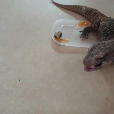 You don't have to tell him twice