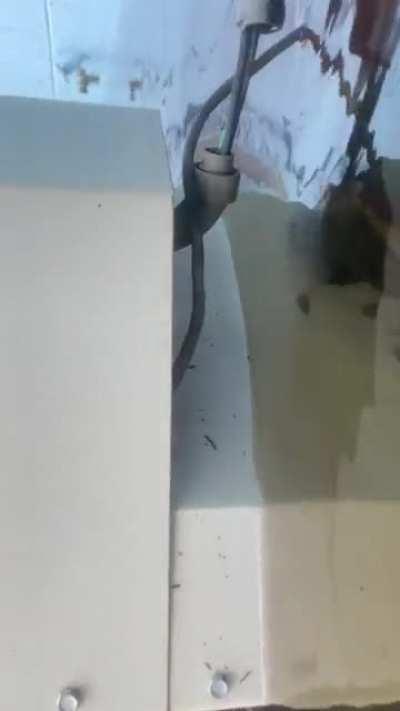 GREETINGS FROM FLORIDA!