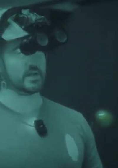 Get your quail eggs in the sun boys 😎