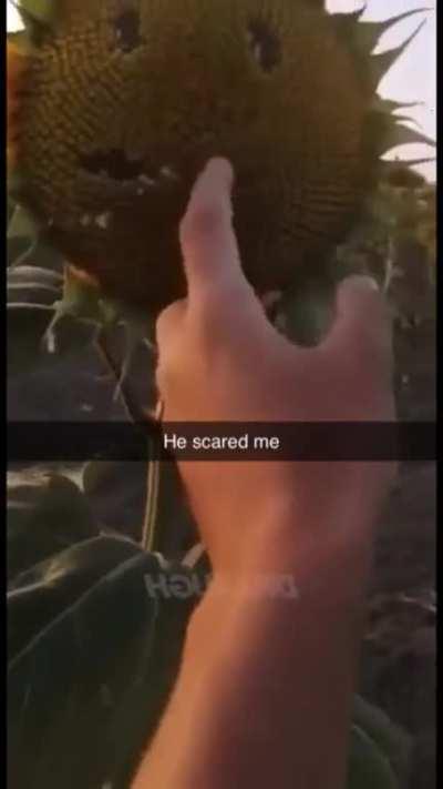 bro didn't get 25 sun