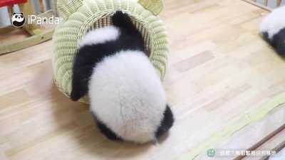 A panda a day keeps the sorrow away