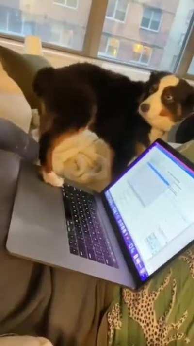 Just want to bother you