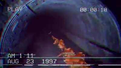 Flesh Invading Levels Be Like: