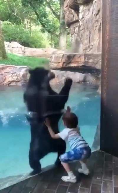 Jump little human, jump!