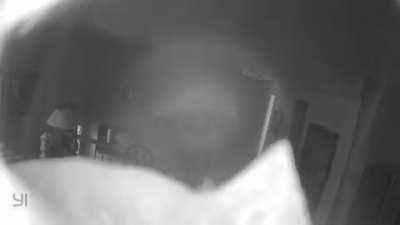 Camera picked up movement