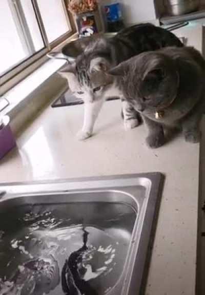 How the tables have turned