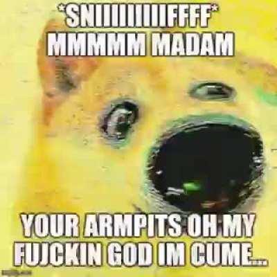 Le look back on doge history has arrived.