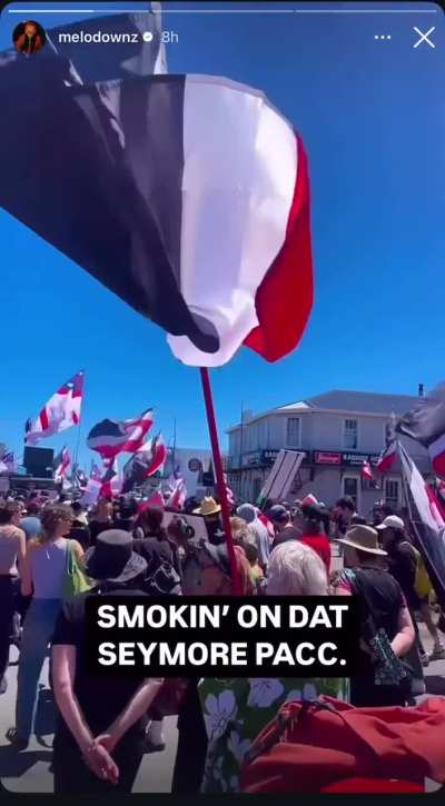 New Zealand rapper casually riffing about killing Ministers of Parliament on IG 🤯 (Hon. David Seymour). Must be “art” 