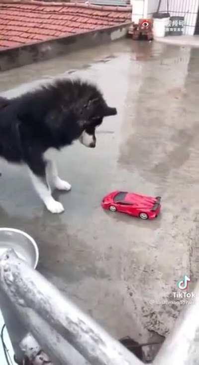 Восстание машин