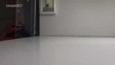 WARNING!!! LEGGY BOI ESCAPE! Warnin ⚠️ 🚨 ⚠️