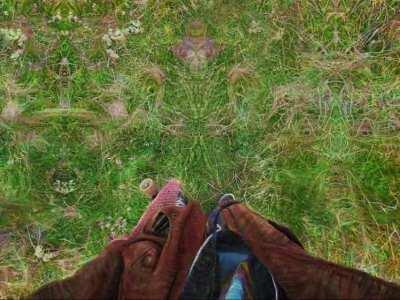 lsd dreams: :0 *melt intensifies*