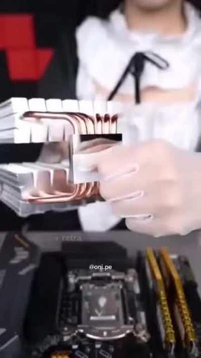 Plot twist... Es un trapo.