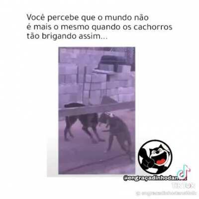 É, eles estão evoluindo