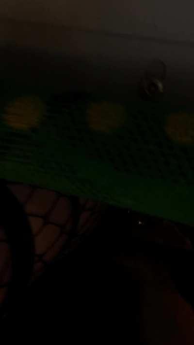 what would u do if u caught a peak up my skirt