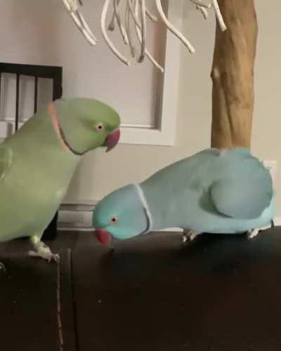 I’d like to introduce myself