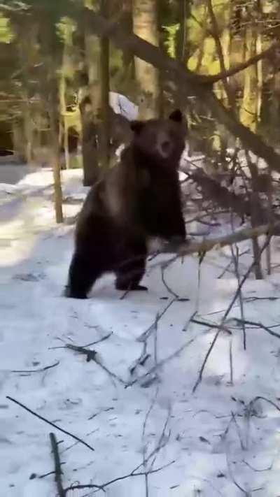 Just another day in Russia