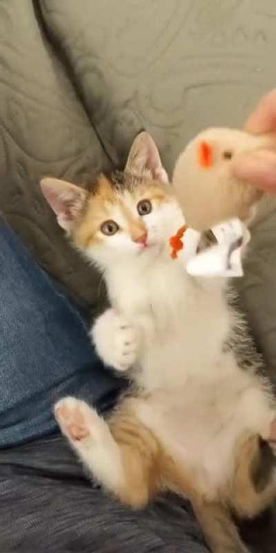 Help me convince my fiance to let me keep her