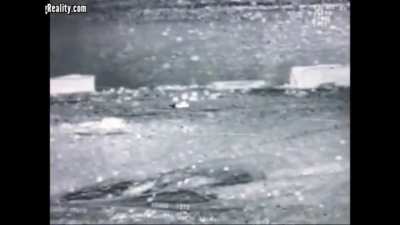 U.S Helicopter Destroys Taliban Running and Hiding Next to a Tree