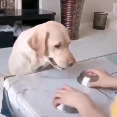 What the hell is this bamboozlery?!