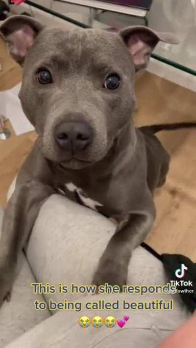 This precious pitty