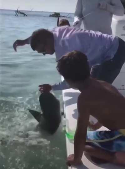 To handle a baby shark because its just a baby