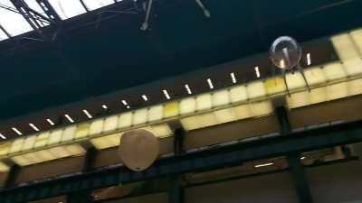 At the Anicka Yi exhibition in Tate Modern, they have made flying jellyfish. No cables attached, they fly freely through the hall.