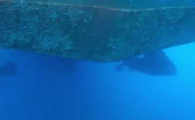 MV Topaz Captain’s Azipods, Using Dynamic Positioning—GROOVY!