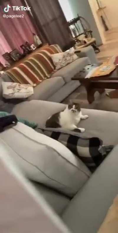 the aggressive lick without breaking eye contact i'm-