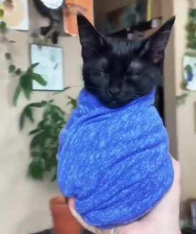 I'm in love with him