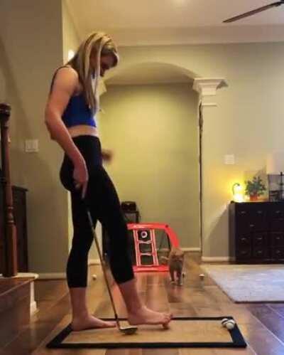 Catculating trajectory...