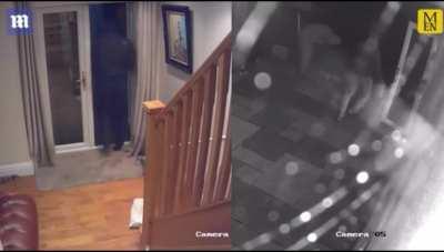 Man protects his wife from three home intruders
