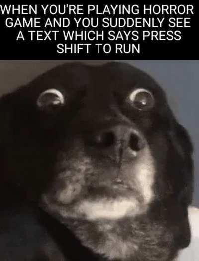 (chuckles) I'm in danger.