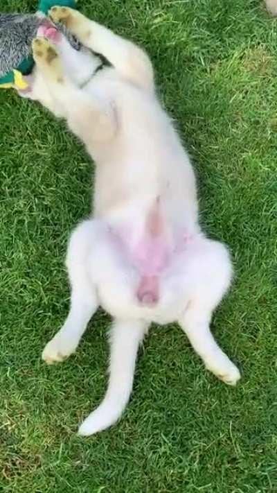 Wait for the baby teefs and the bluest eyes 😍