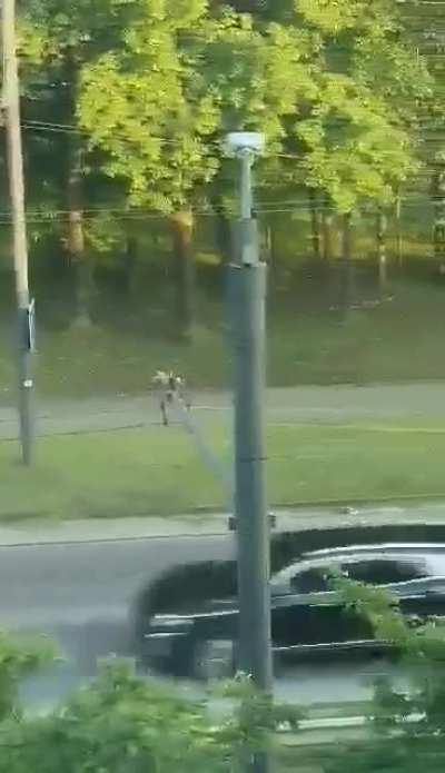 This guy pointing at people having sex in public