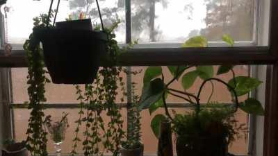 Rolling thunder through the kitchen window of our farmhouse.