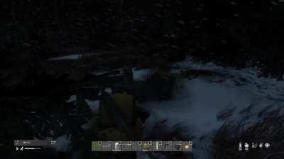 Ever Been Jumpscared by a Bear?